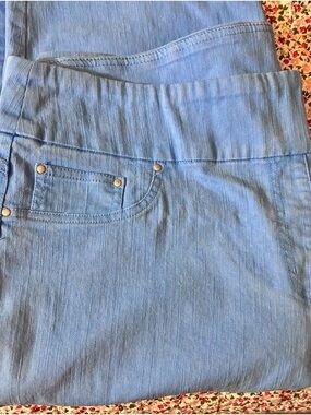 Ruby Rd. Light Blue Stretch Jeggings